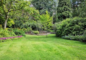 Optimiser l'expérience du jardin à Feuquières-en-Vimeu